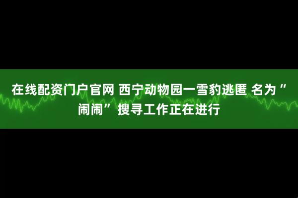 在线配资门户官网 西宁动物园一雪豹逃匿 名为“闹闹” 搜寻工作正在进行